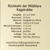 20 Euro Goldmünze "Kegelrobbe" - Deutschland 2022 - Serie "Rückkehr der Wildtiere" - D - München