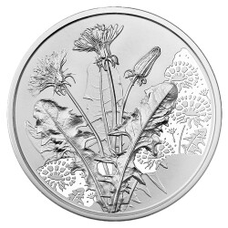 10 Euro Gedenkmünze Österreich 2022 Silber hgh...