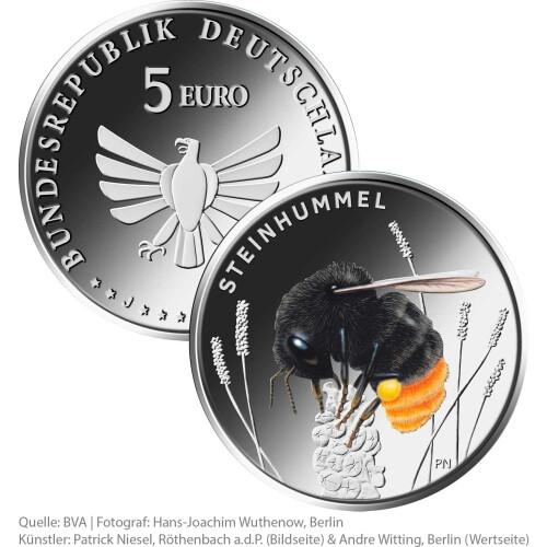 5 Euro Gedenkmünze Deutschland 2024 bfr. - Steinhummel