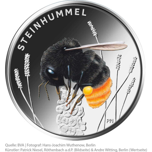 Euro Gedenkm Nze Deutschland Bfr Steinhummel