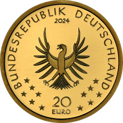 20 Euro Goldmünze "Biber" - Deutschland 2024- Serie "Rückkehr der Wildtiere"